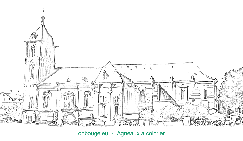 Coloriage d’Agneaux