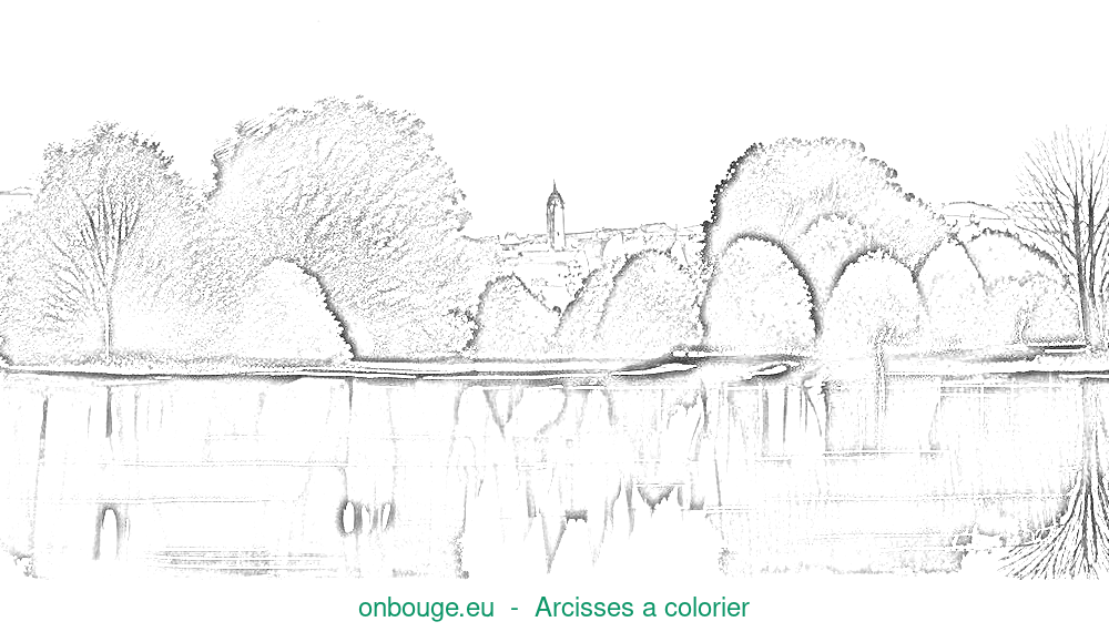 Coloriage d’Arcisses