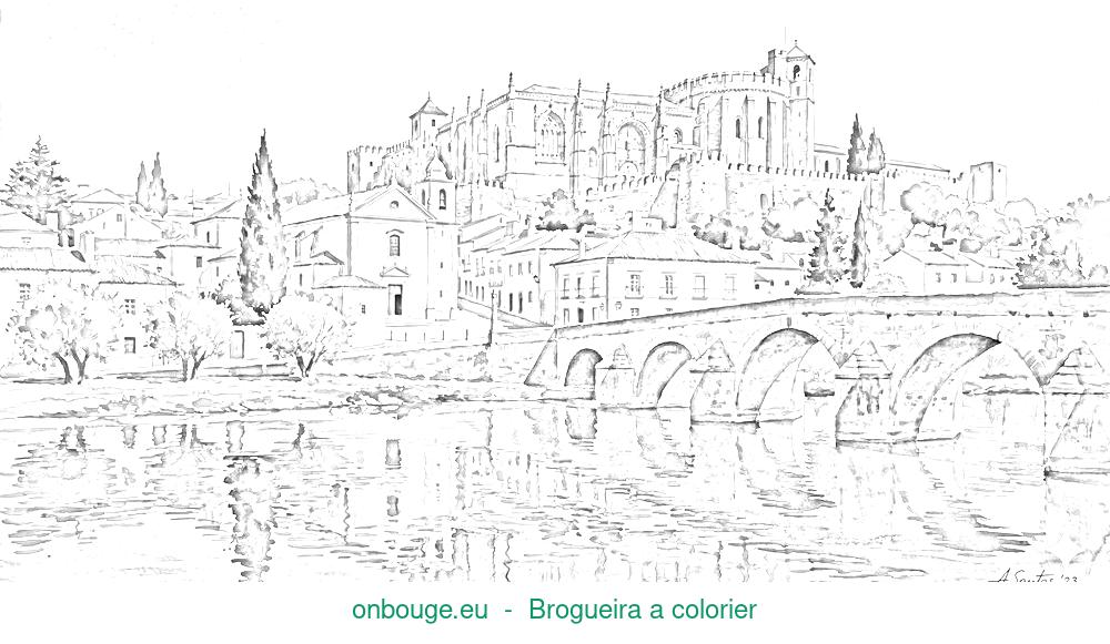 Desenho de Brogueira