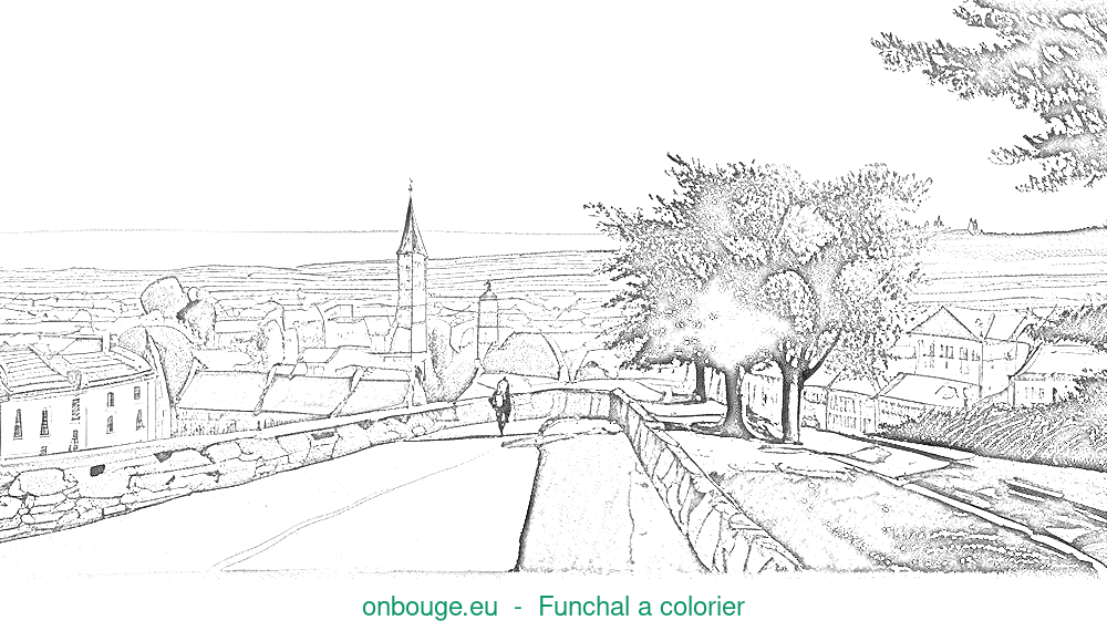 Desenho de Funchal
