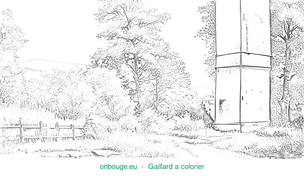 Coloriage de Gaillard