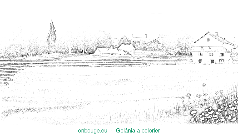 Desenho de Goiânia