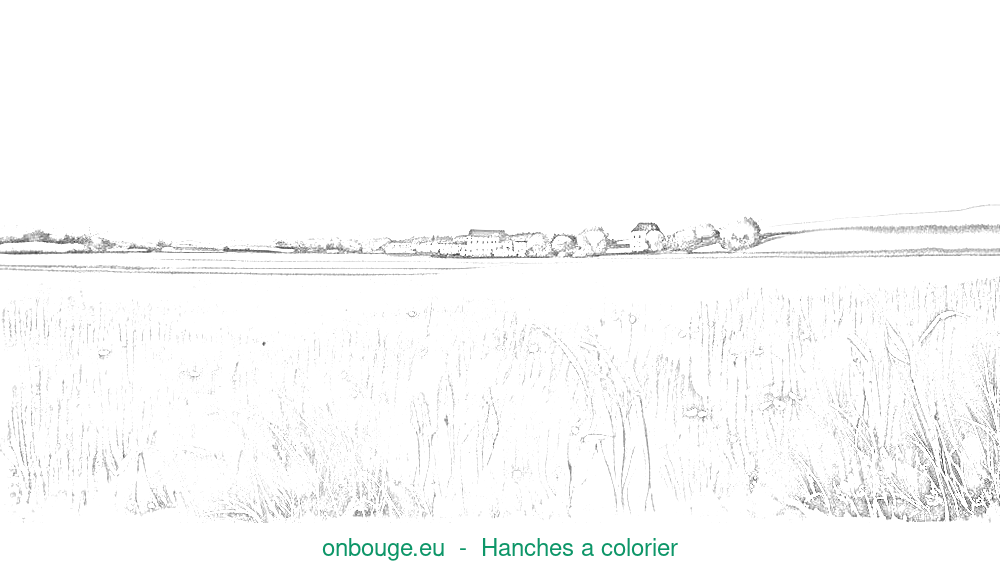 Coloriage d'Hanches