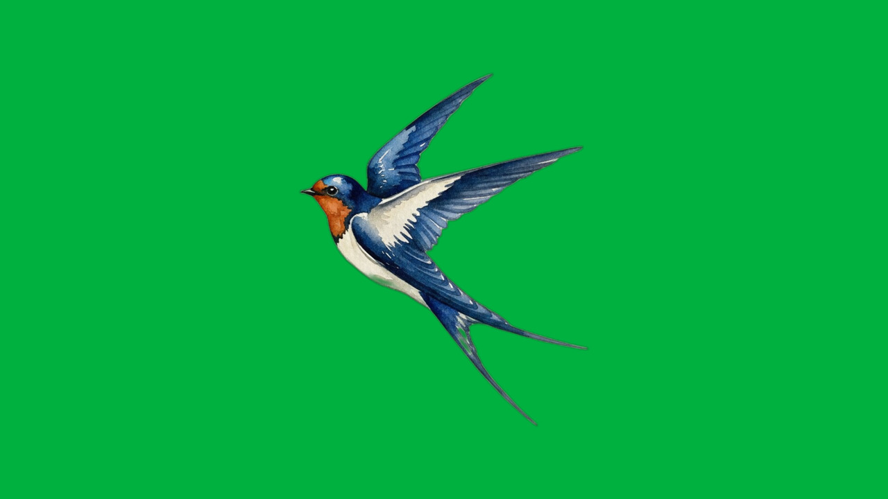 Palmi