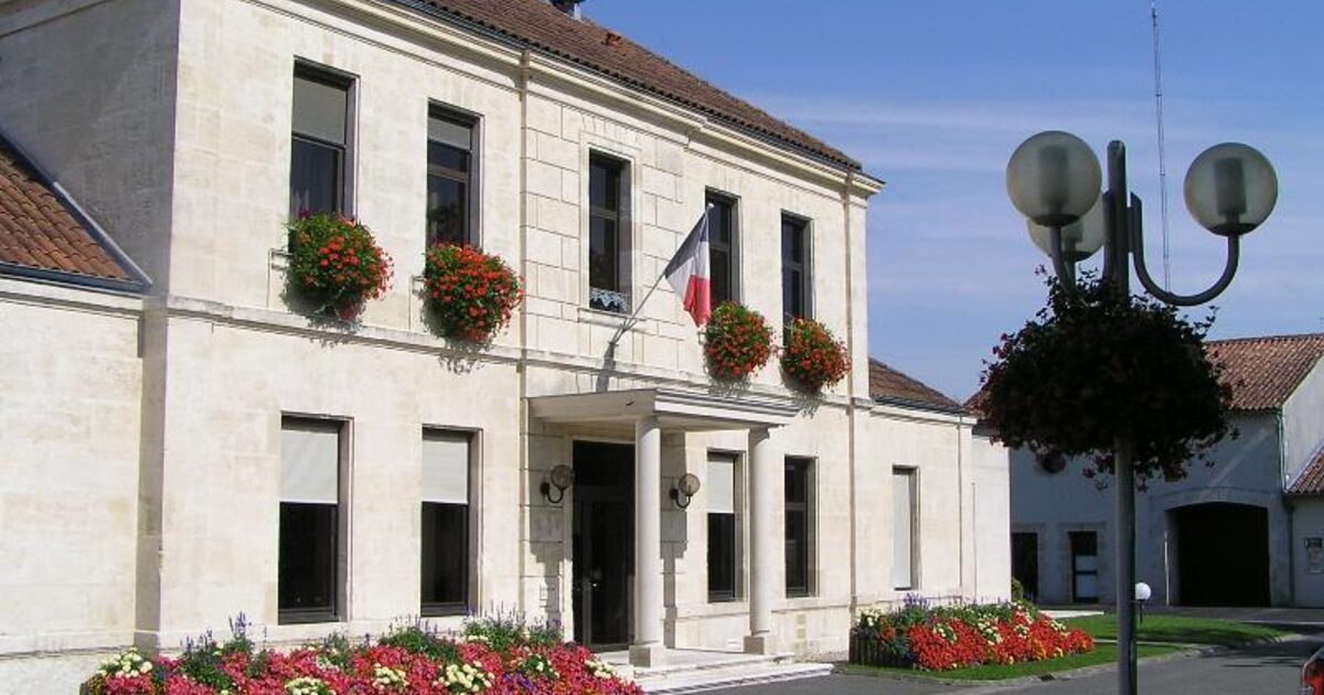 Châteaubernard — photo réelle (Wikimedia Commons, rosier)