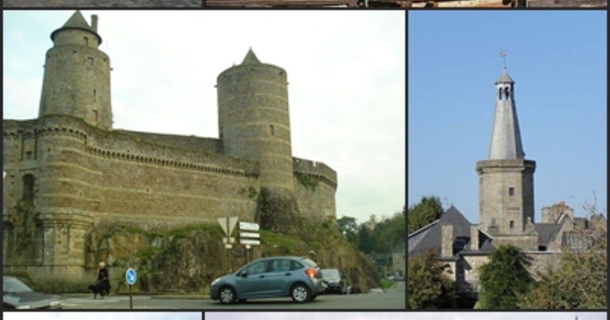 Fougères — photo réelle