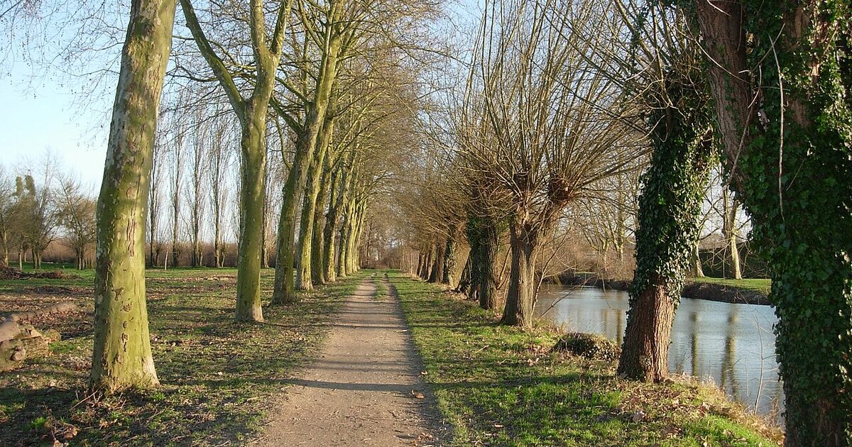 Romilly-sur-Seine — photo réelle