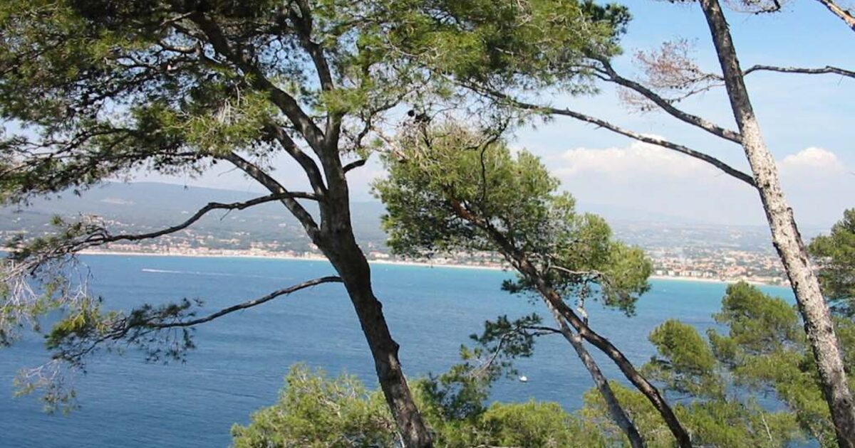 Saint-Cyr-sur-Mer — photo réelle
