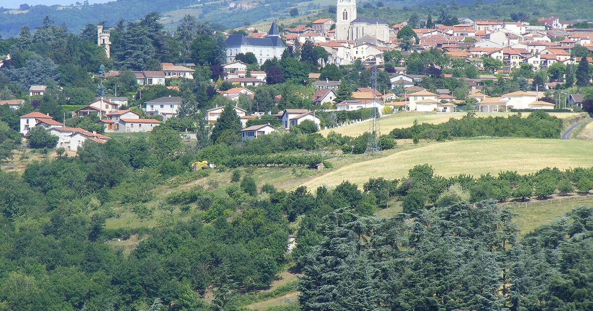 Saint-Martin-la-Plaine — photo réelle (Wikimedia Commons, verod1)