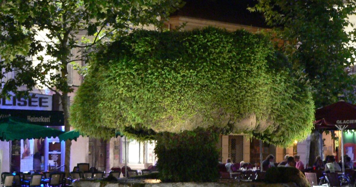 Salon-de-Provence — photo réelle