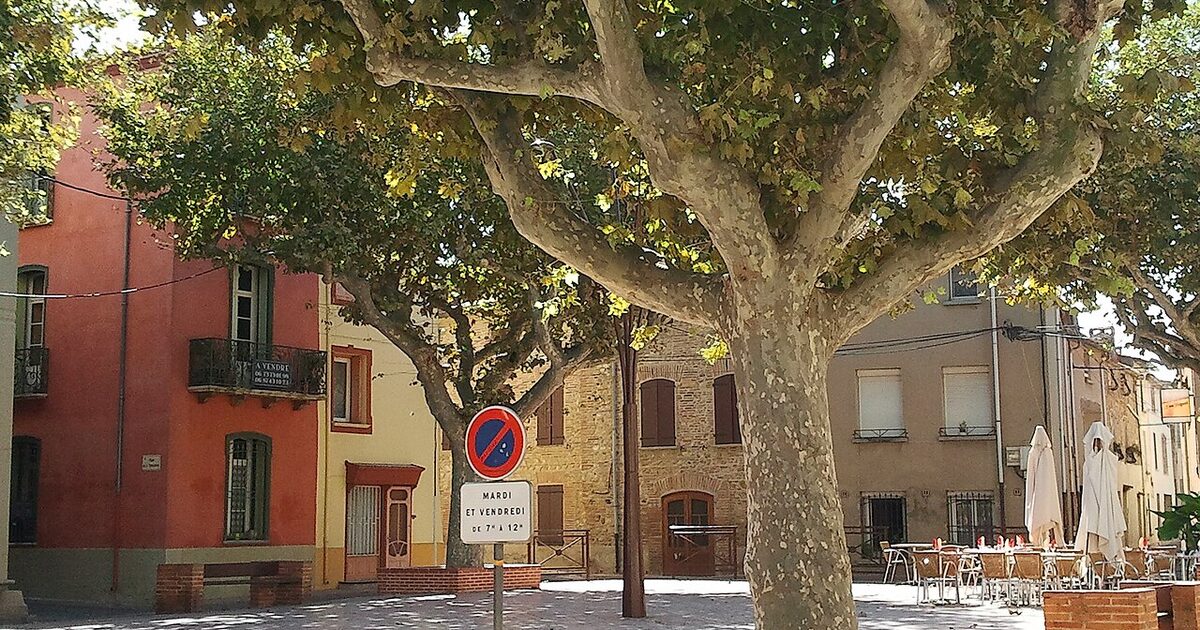 Torreilles — photo réelle (Wikimedia Commons, Fabricio Cardenas)