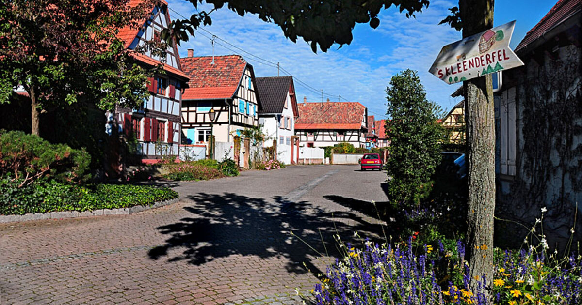 Weyersheim — photo réelle (Wikimedia Commons, Ernst Baumann)